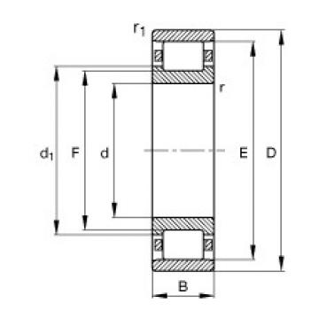 17 mm x 40 mm x 12 mm  FAG N203-E-TVP2 Rolamentos cilíndricos